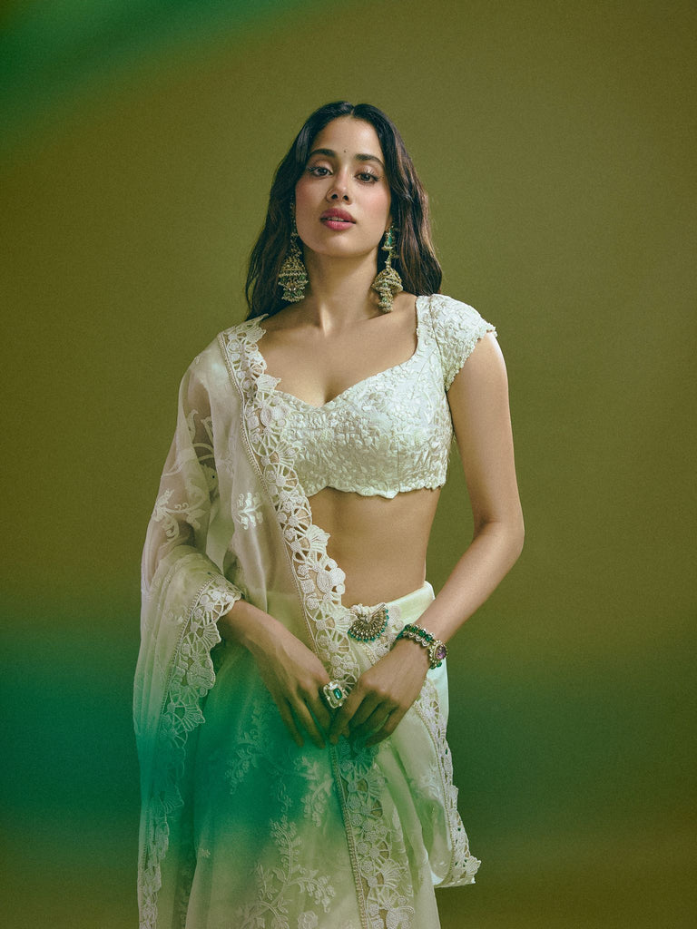 chikankari on sheer organza sari With embroidered chikankari blouse